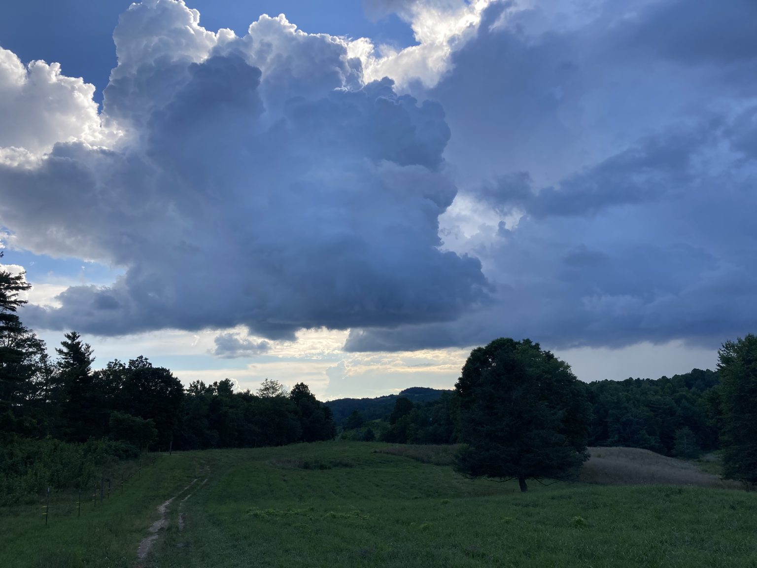 Pricing Information Copper Hill Farms